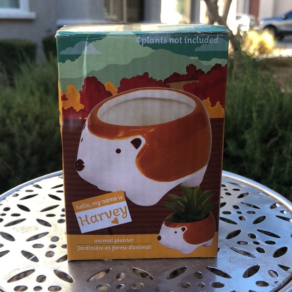 Harvey the Hedgehog Small Ceramic Planter Pot Decor & 2 Pairs of Socks Gift Set - Picture 8 of 14